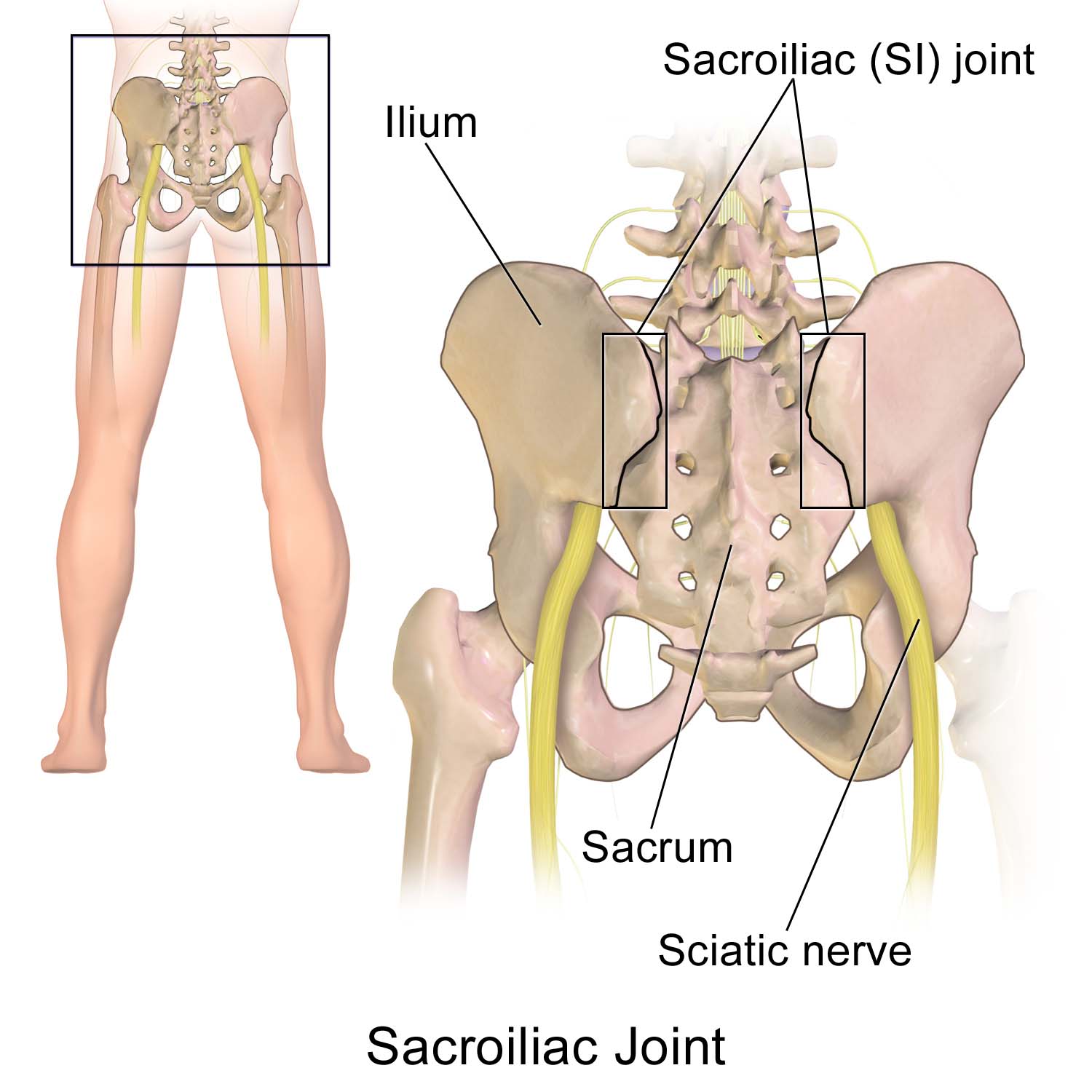 Sciatic Nerve Treatment La Porte, IN